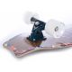 Tempish Tropic T Longboard 31"