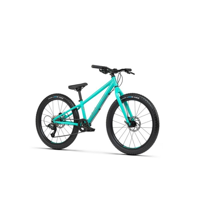 24 inch wheelie bike hot sale