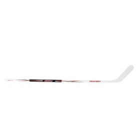 Tempish IJshockeystick G3S